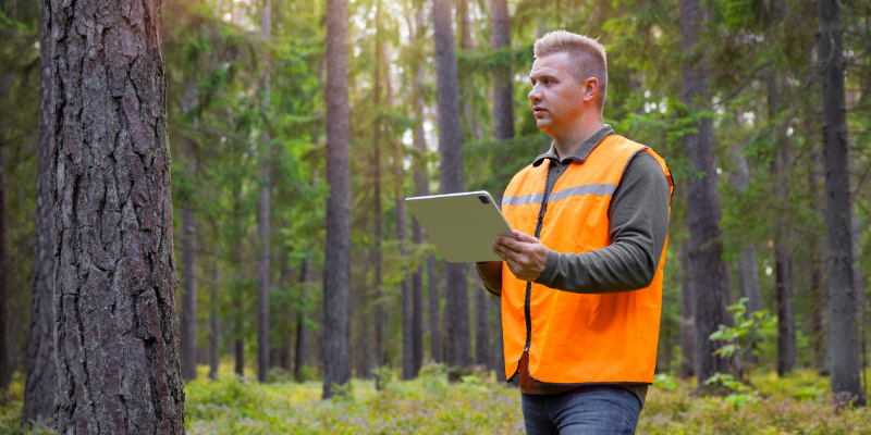 forest health risk assessment